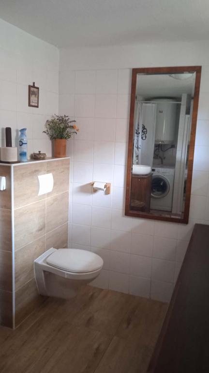 Koupelna v ubytování Apartmán Malá Turná