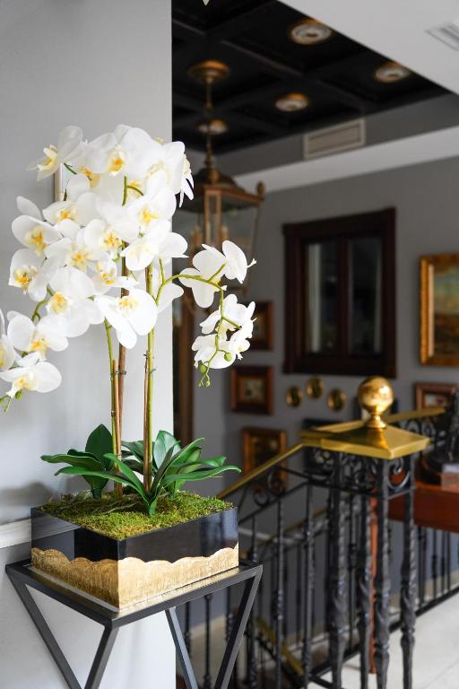 a white orchid in a black stand in a room at Hotel Boutique Casa Veracruz in Estepona