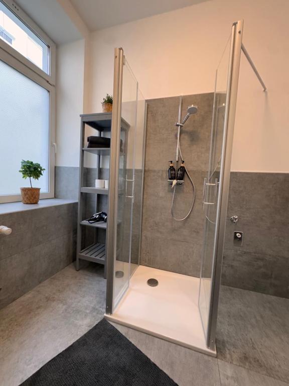 una ducha con puerta de cristal en un baño en Studio Apartment im Zentrum mit Parkplatz & neuem Badezimmer, en Magdeburgo