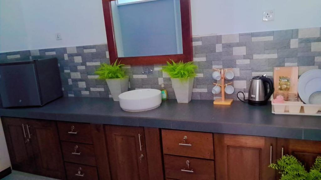 un comptoir de cuisine avec des plantes en pot au-dessus de celui-ci dans l'établissement Ocean View Villa Galle, à Galle