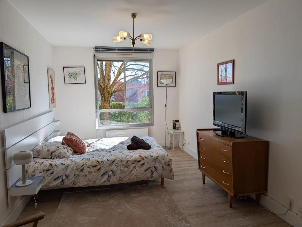une chambre avec un lit et une télévision sur une commode dans l'établissement Studio calme- Cité de l'Espace - Côte Pavée, à Toulouse