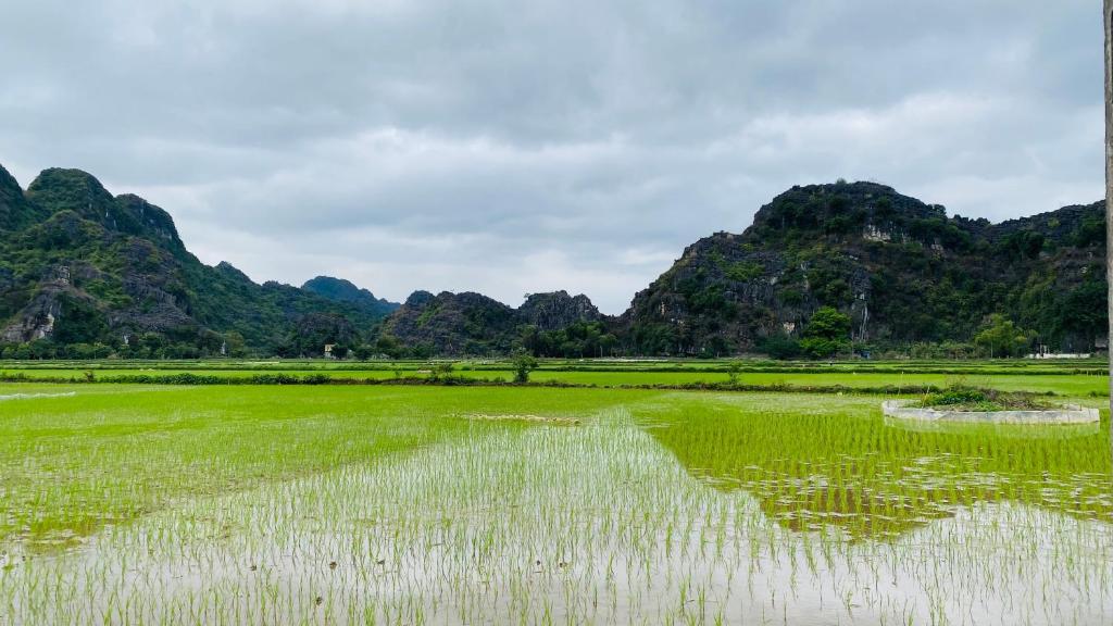 Ohayo Tam Coc Homestay - 13