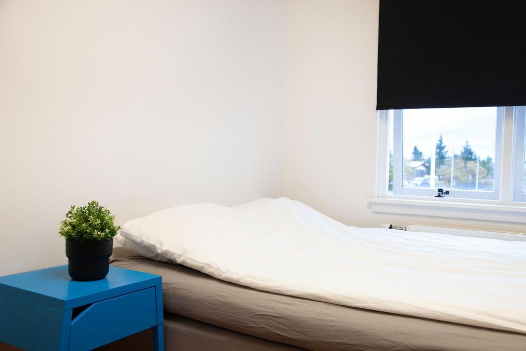 Postel nebo postele na pokoji v ubytování Lava Hostel