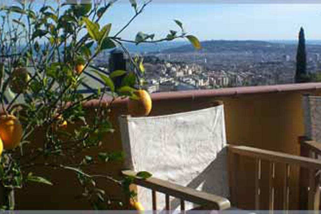 a balcony with a bench and an orange tree at Anita's Bed and Breakfast in Barcelona