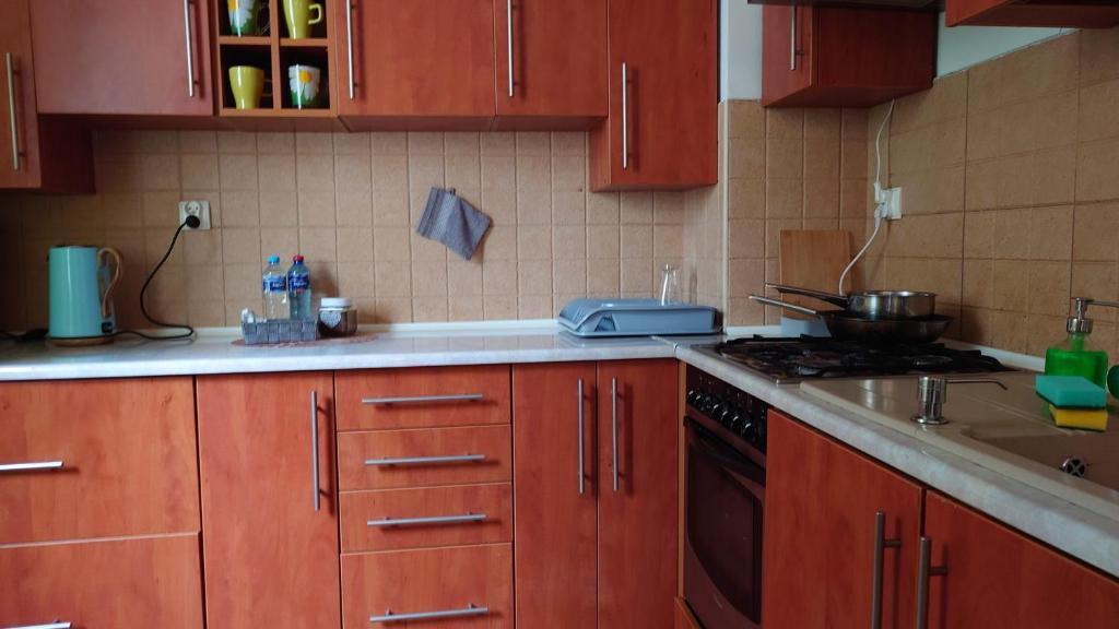 Kuchyňa alebo kuchynka v ubytovaní Apartamenty nad Stonehenge