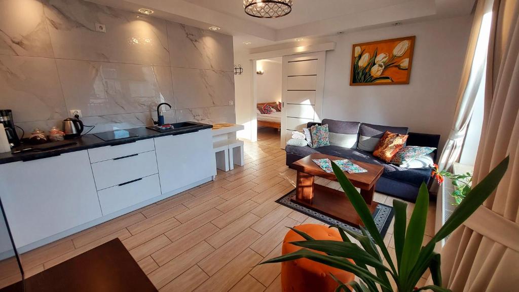 Kuchyňa alebo kuchynka v ubytovaní Apartamenty Biała Perła