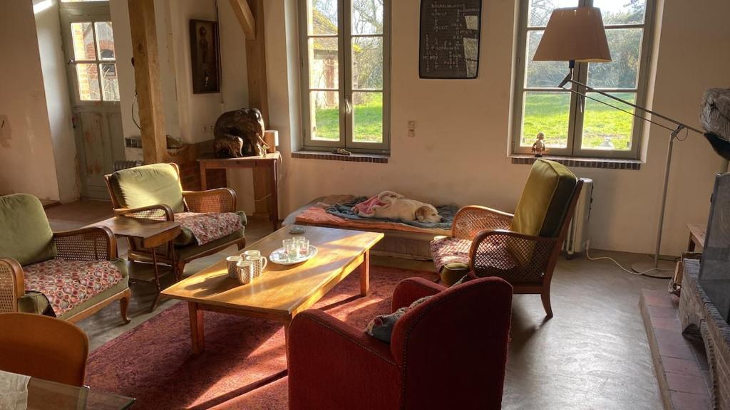- un salon avec un chien posé sur un canapé dans l'établissement La Clémendière, un paradis caché, à Chailly-en-Gâtinais