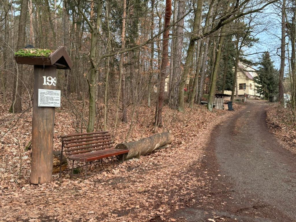 Příroda nedaleko apartmánu