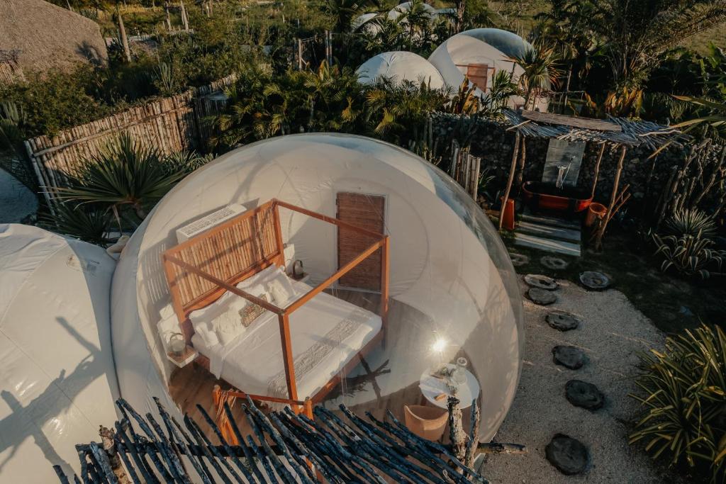 Fotografie z fotogalerie ubytování Green Land Bubble Glamping By Mint v destinaci Cabarete