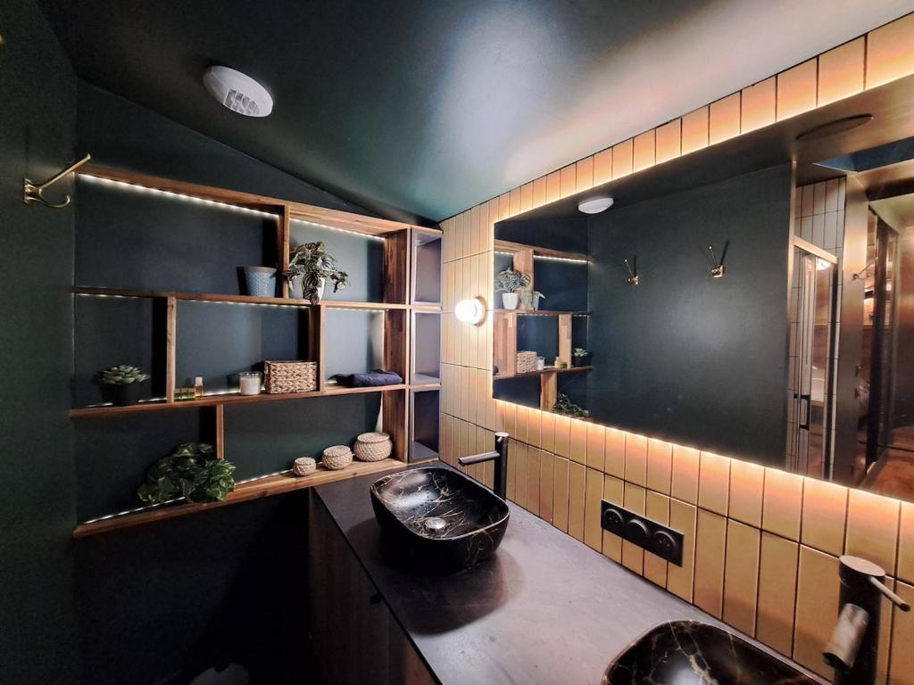 une salle de bain avec un lavabo et un miroir dans l'établissement GENÈVE - Appartement Fastueux, à Reims