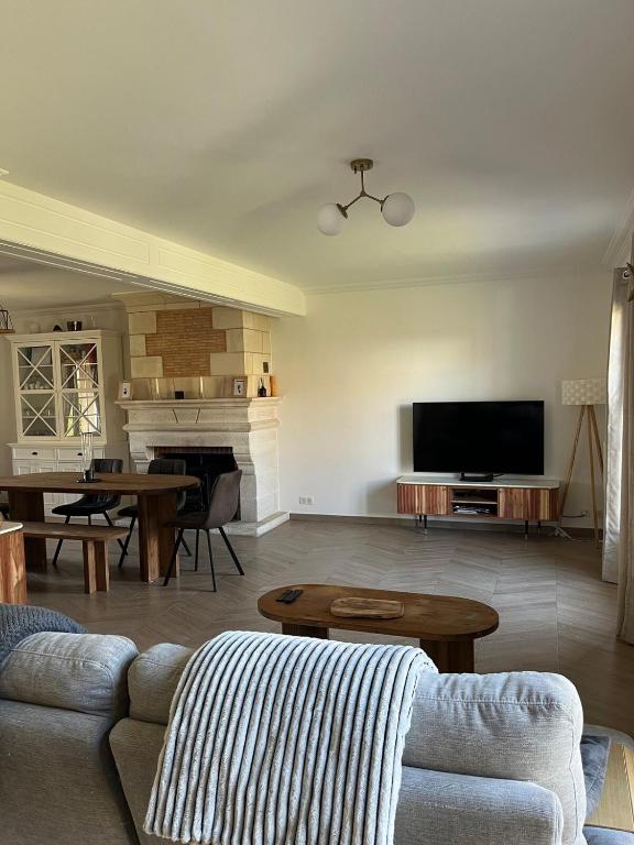 un salon avec un canapé et une télévision dans l'établissement 4-bedroom house Le Mans, à Pruillé-le-Chétif