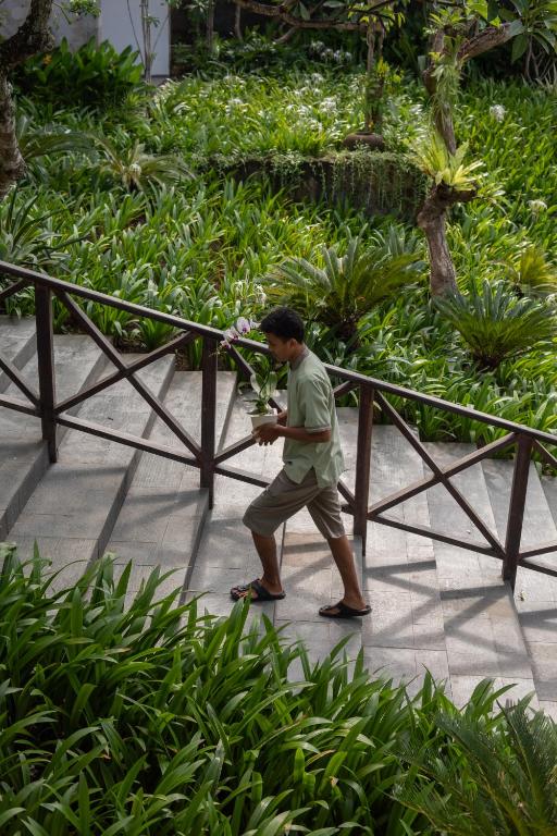 Hosté ubytování Dialoog Seminyak
