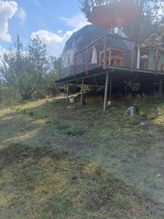 Jardí fora de Glamping La Cacica