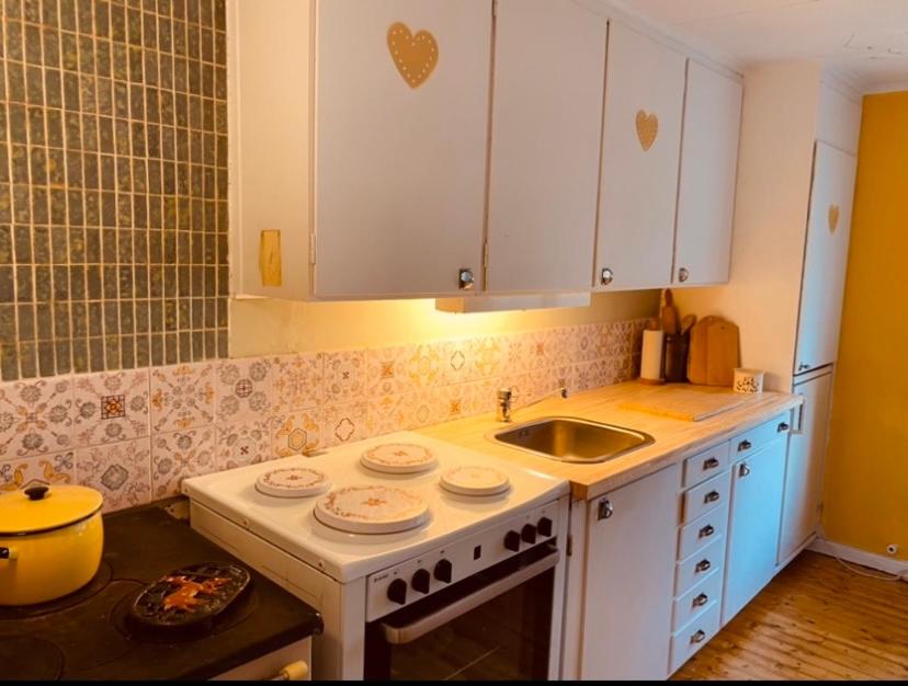 Kuchyň nebo kuchyňský kout v ubytování Villa Apple Garden