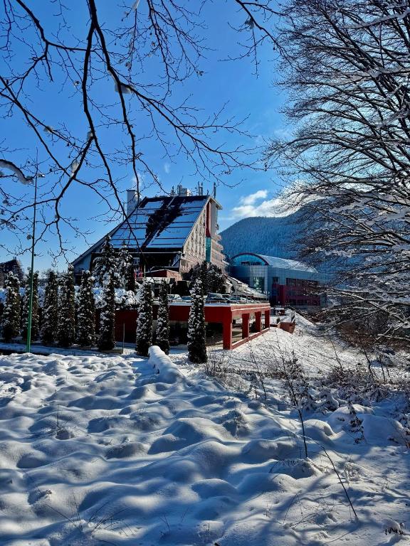 Hotel Piatra Mare - Resim 15