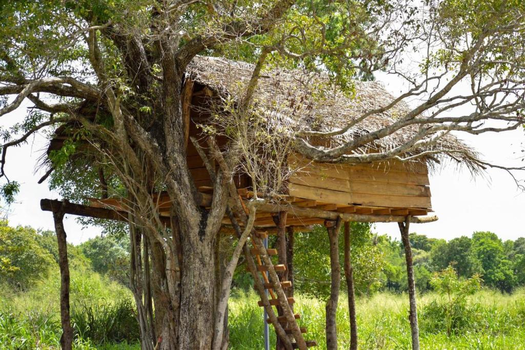 una casa en el árbol en medio de un árbol en Habarana Tree House Area, en Habarana