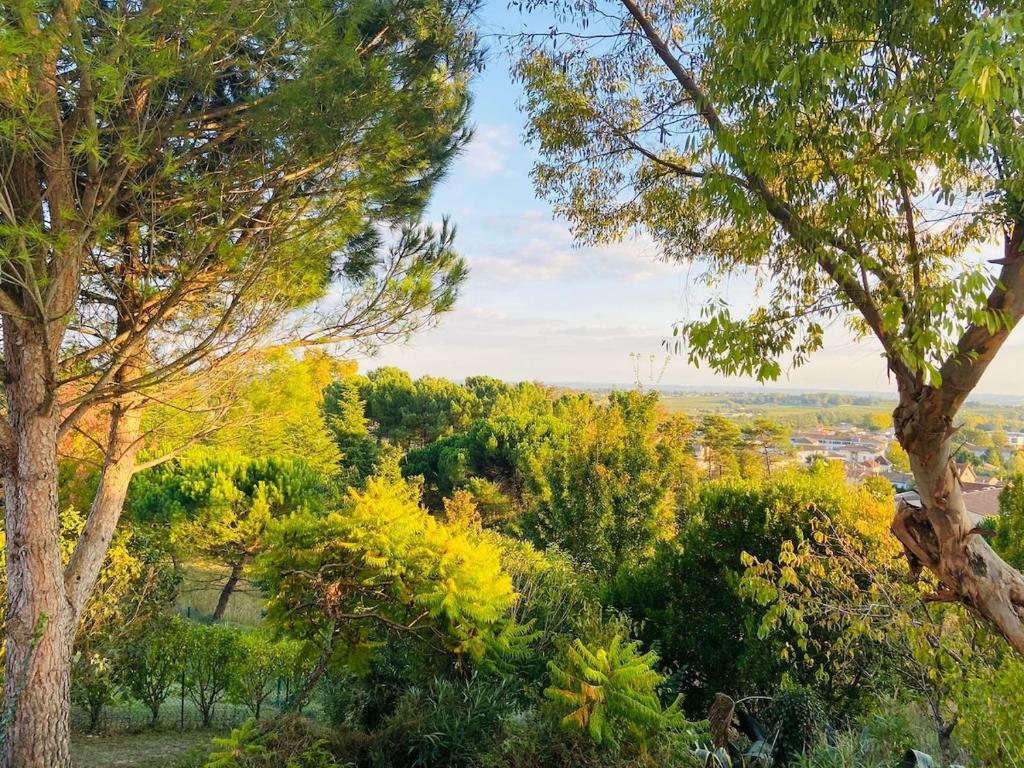 a view from the top of a hill with trees at Nice villa with a view in Saint-André-de-Cubzac