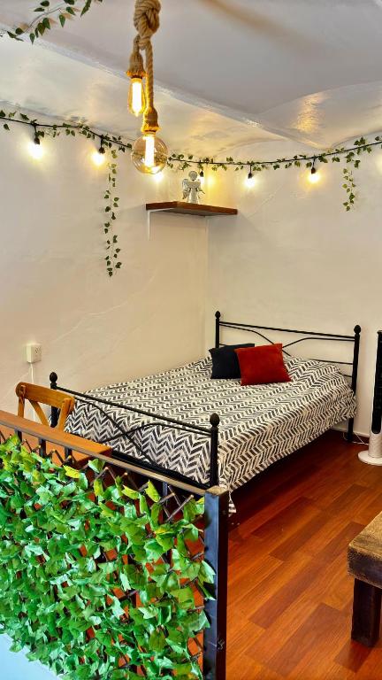 a bedroom with a bed and a green plant at Alojamiento en el Centro Histórico in Oaxaca City