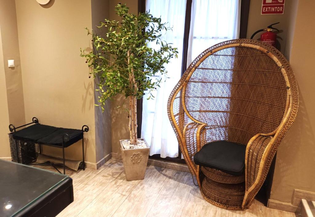 Hotel San Francisco - 6