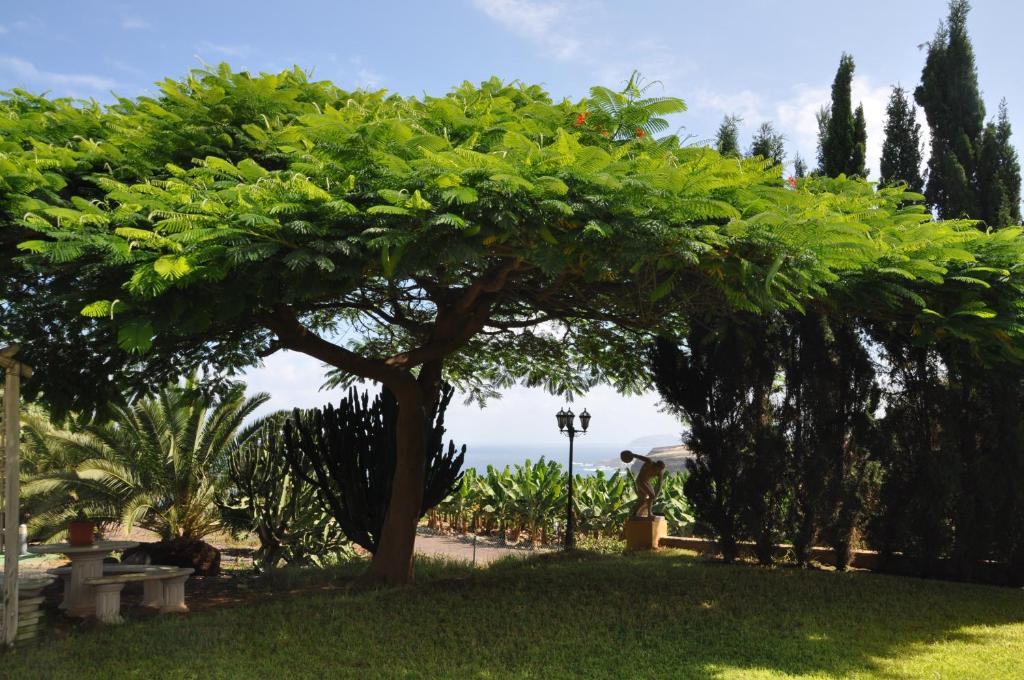 Zahrada ubytování Finca Hacienda Mit Eigenem Schwimmbad