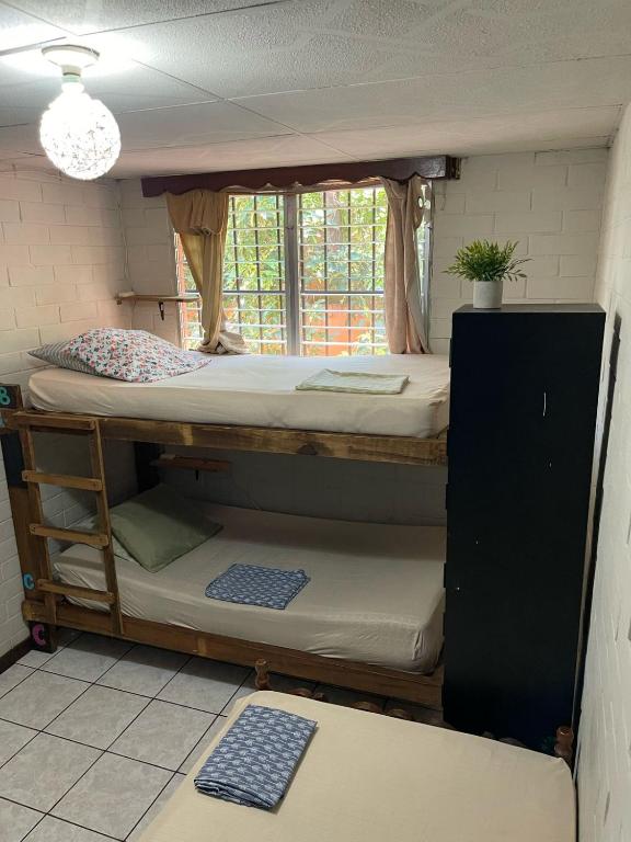 Pool House Hostel photo
