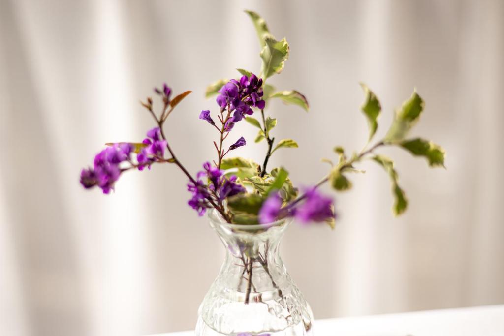 Hotel Sao Jose - Resim 15