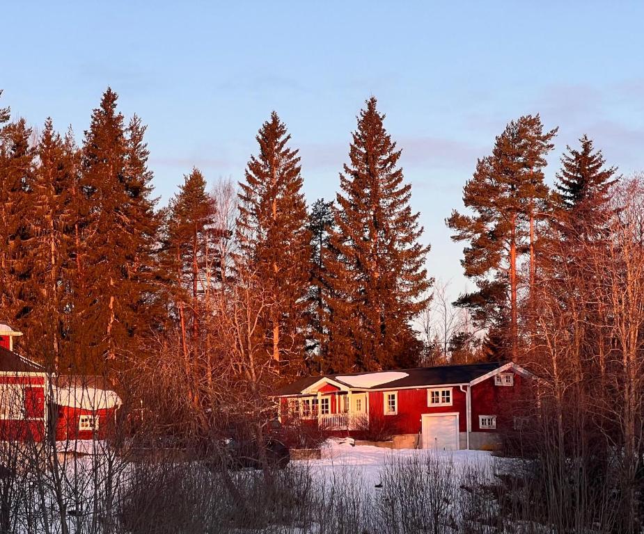 Cozy Ockelbo Retreat with Sauna Stunning Nature Views iarna