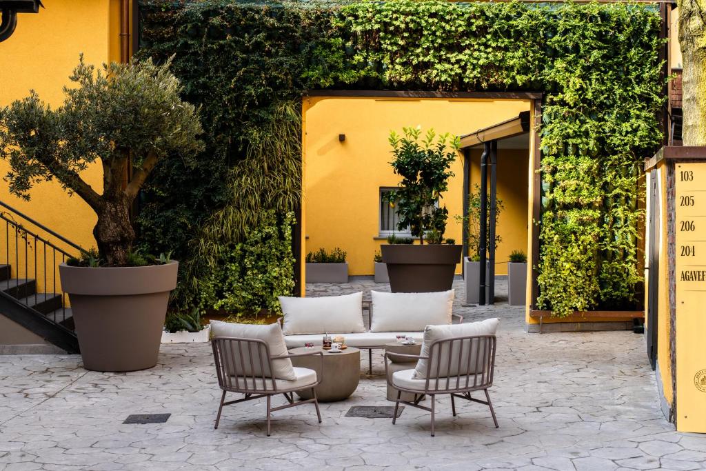 Agave in Centrale - Resim 1