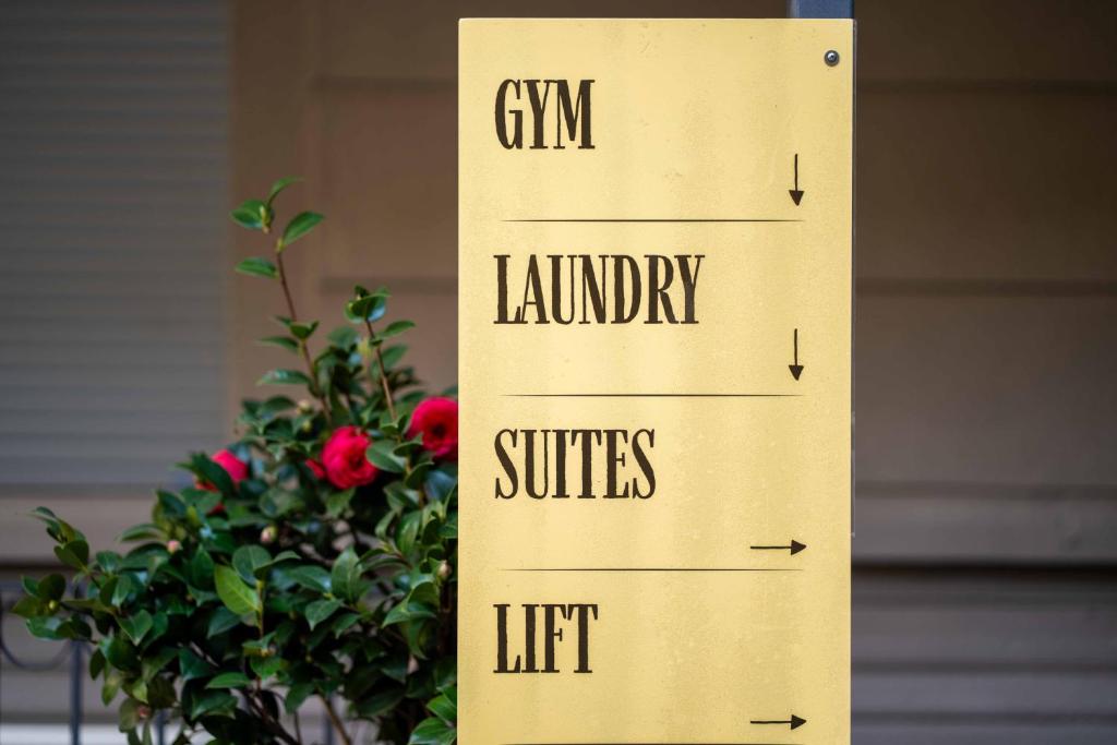 Agave in Centrale - Resim 29