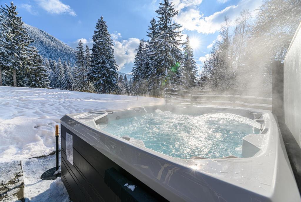 Hotel Casa Viorel jacuzzi & saunas - Resim 15