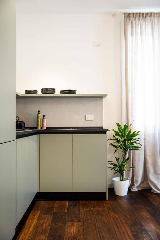 Agave in Centrale - Resim 36