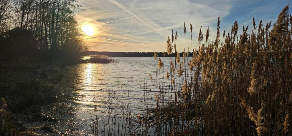 a view of a lake with the sun setting at SeenSucht & Urlaubsträume, Ferienwohnung "Seestern" in Großräschen