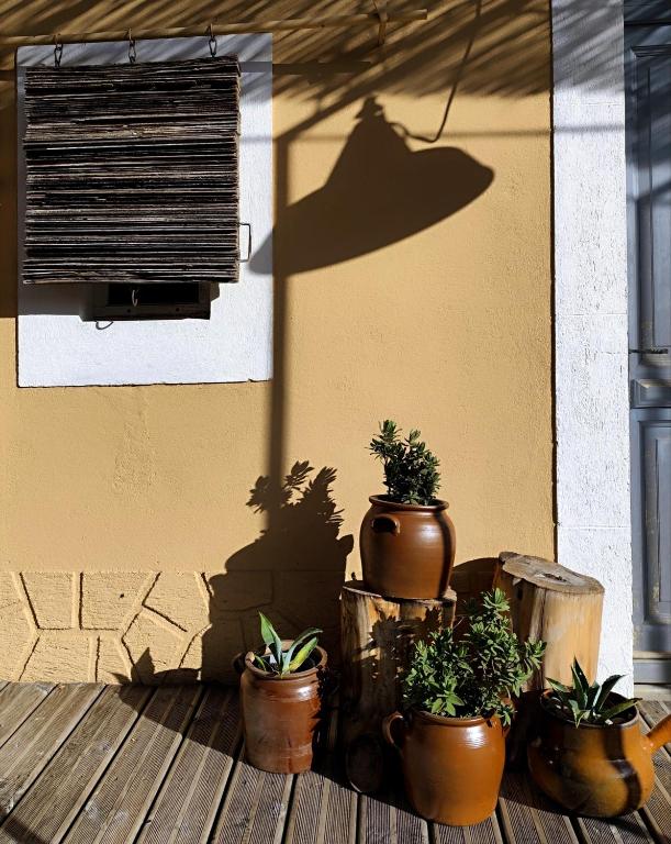 Jardin de l'établissement Les Grands Cyprès - chambres d'hôtes