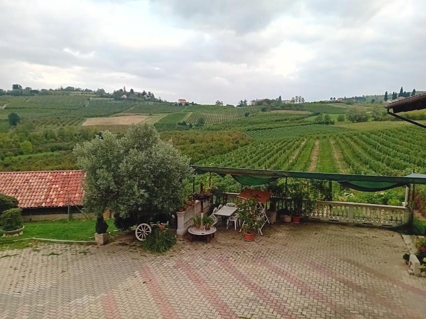 a patio with a view of a vineyard at Cascina Cantaret Agriturismo in San Marzano Oliveto