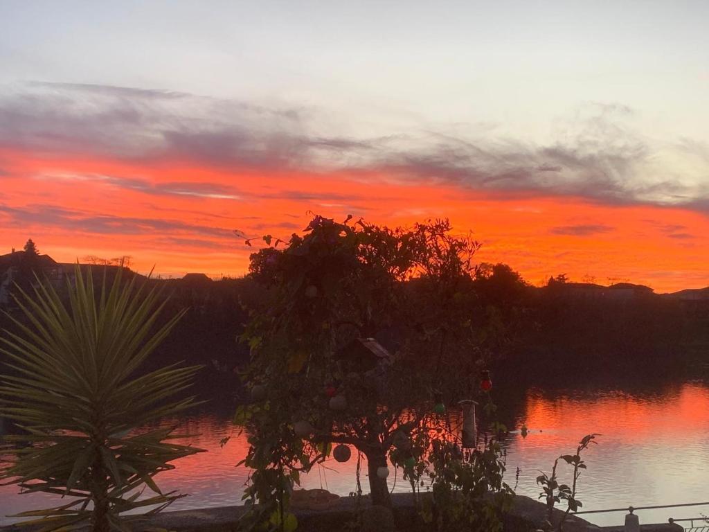 un coucher de soleil sur une étendue d'eau avec un arbre dans l'établissement Les flots dorées, à Bergerac