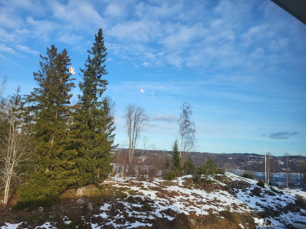 Příroda nedaleko apartmánu