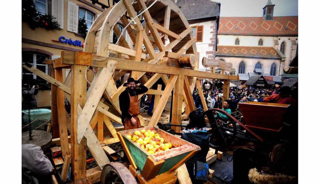 Gite Les Hirondelles 6 pers Ribeauvillé – photo 24