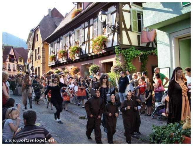 Gite Les Hirondelles 6 pers Ribeauvillé – photo 21