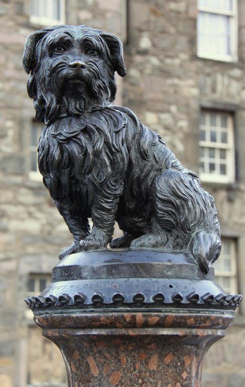 Hapimag Resort Edinburgh - Resim 28