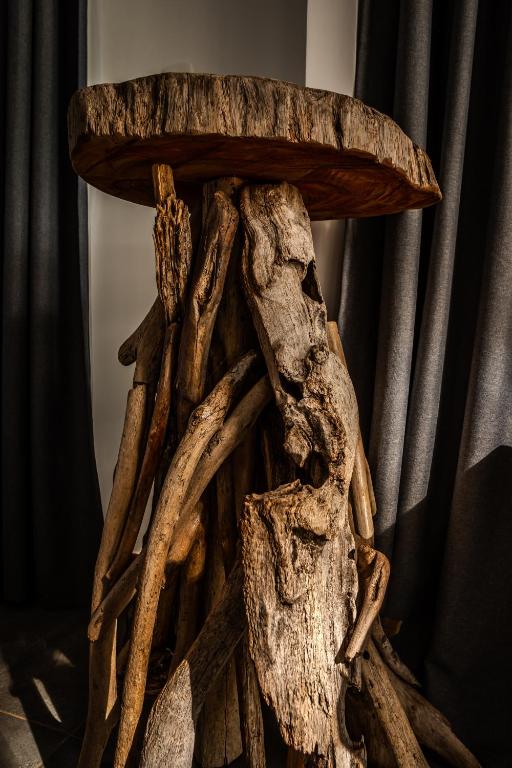 Fotografie z fotogalerie ubytování The Bohemian Lagarto v destinaci Santa Cruz