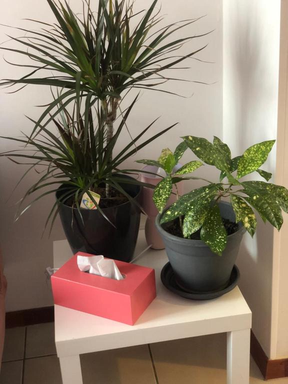 Gîte Les Acacias - 5