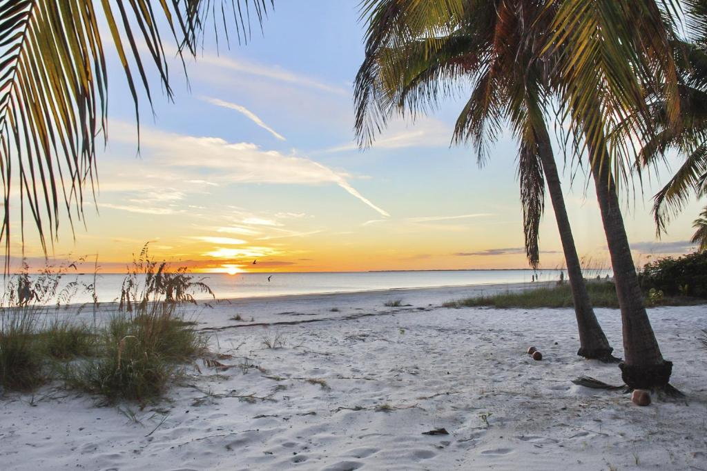 a beach with two palm trees and a sunset at Lazy Lobster by Sun Palace Vacations in Fort Myers Beach