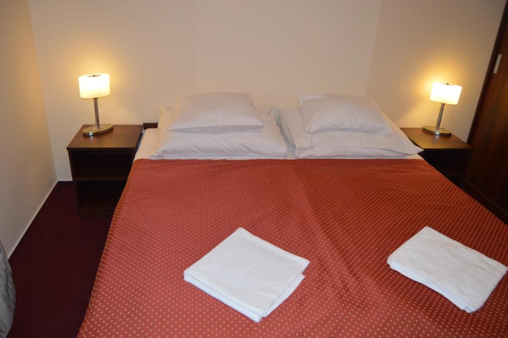 Postel nebo postele na pokoji v ubytování HOTEL ARÉNA