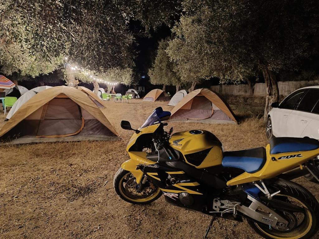 Waveside Camping