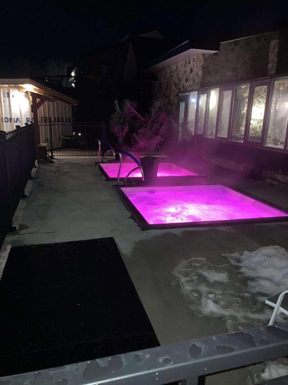 a pool with purple lights in a yard at night at L'intime loft Studio à Orford in Magog-Orford