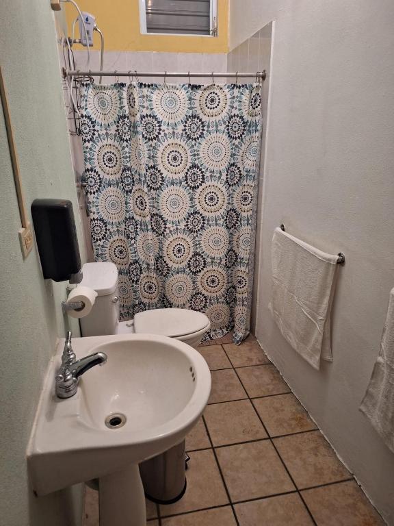 Humacao guest house - Chambre Double Avec Salle De Bains Privative