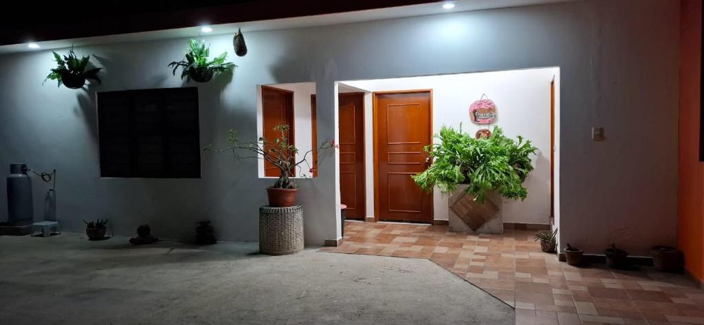 einen Flur mit Topfpflanzen an den Wänden eines Gebäudes in der Unterkunft El Ausente in Ciudad Valles