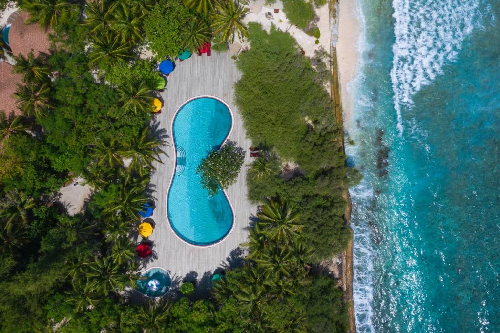 an overhead view of a swimming pool on the beach at Cinnamon Dhonveli Maldives in North Male Atoll