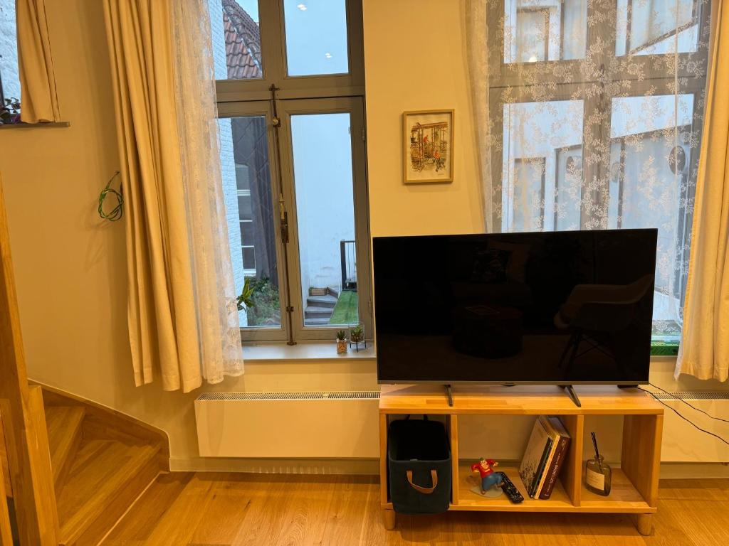 TV a/nebo společenská místnost v ubytování DePearl