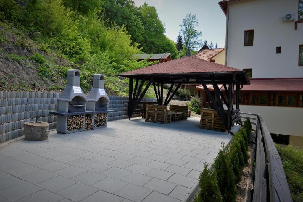 Zahrada ubytování Vila Rigo Sovata
